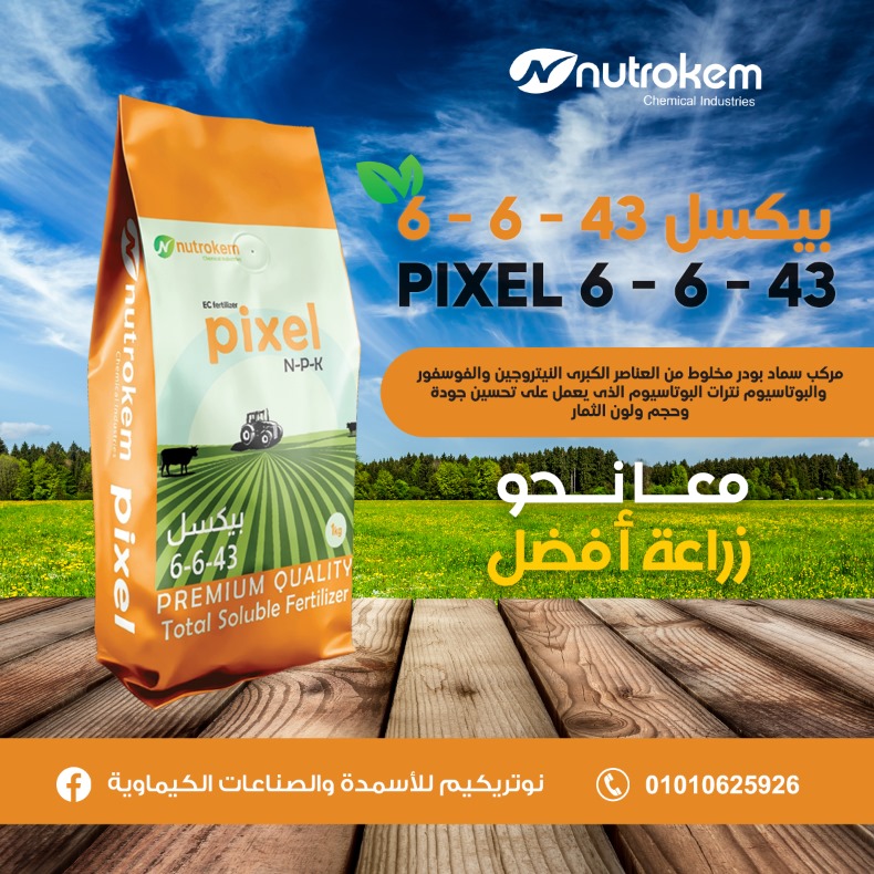 بيكسل 6-6-43