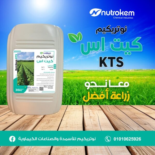 كيت اس