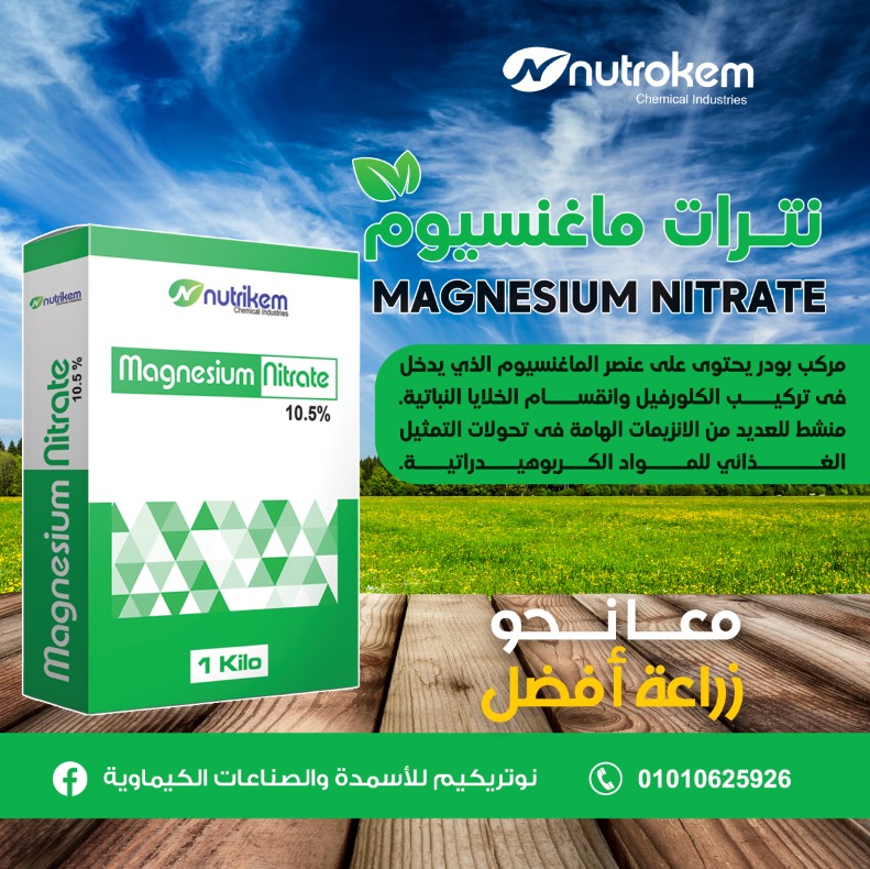 نترات ماغنسيوم