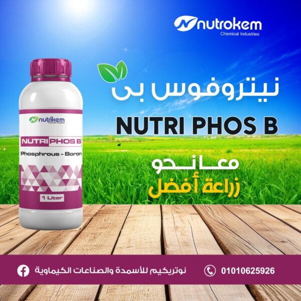 نيتروفوس بي
