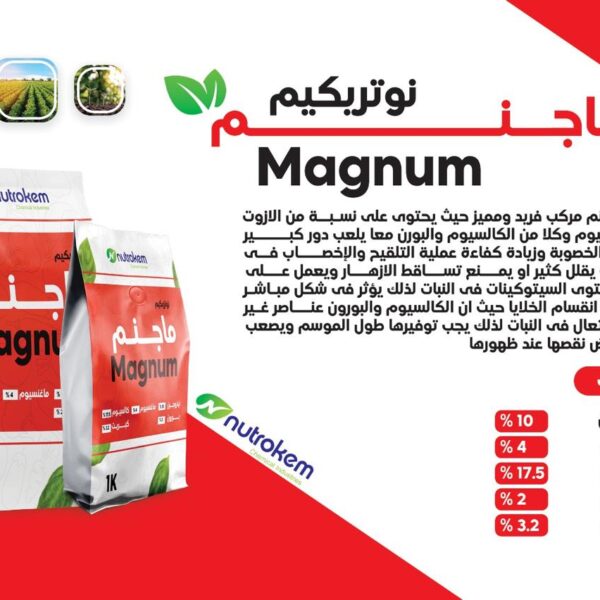 ماجنم نوتريكيم